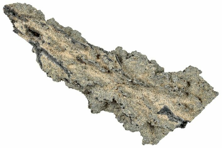 Fulgurite - Petrified Lightning #290530